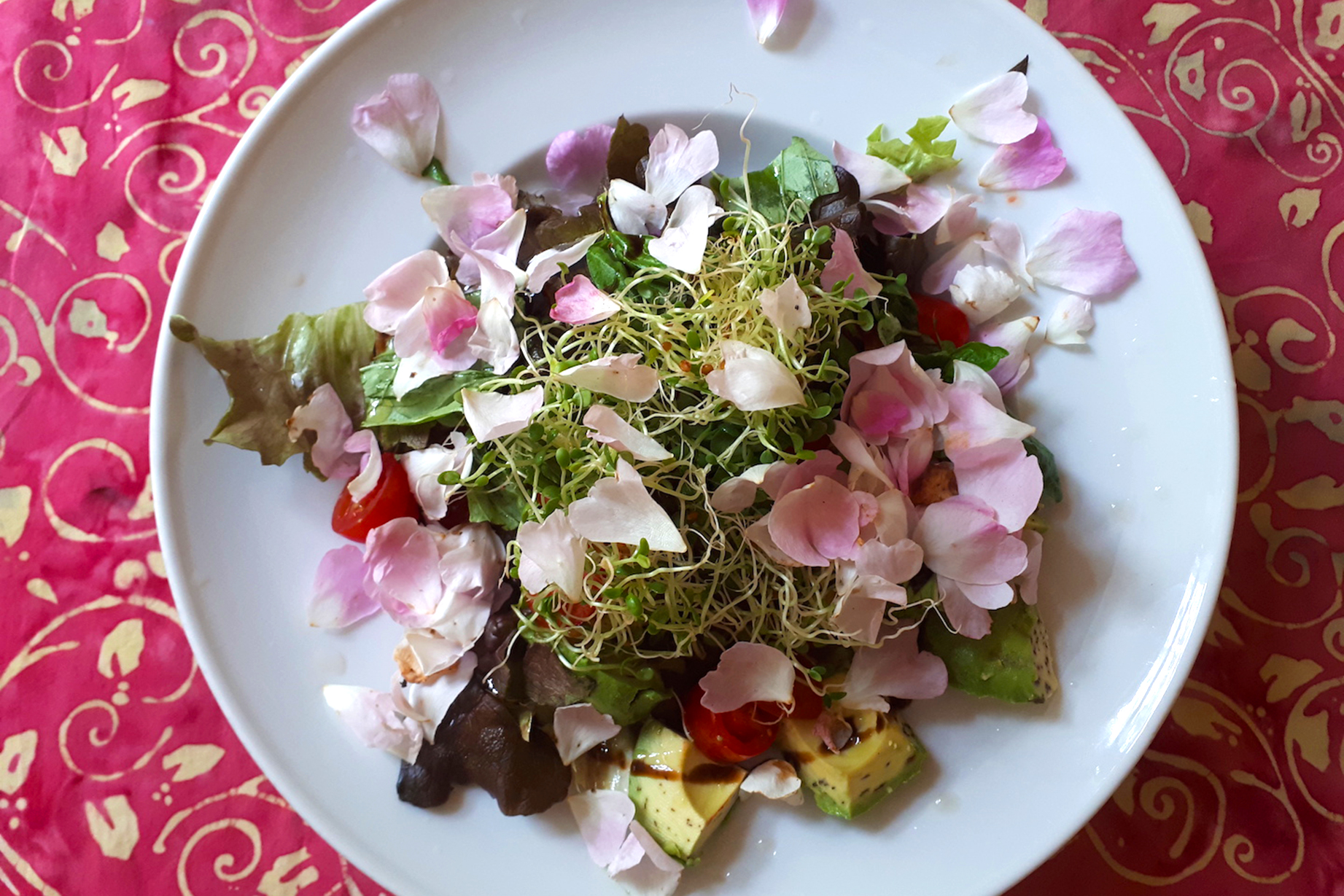 Claudia Brenner Heilmanufaktur Berlin - Wilmersdorf Ayurveda Darmgesundheit Ern&auml;hrung Yogatherapie Yoga &Uuml;ber Mich