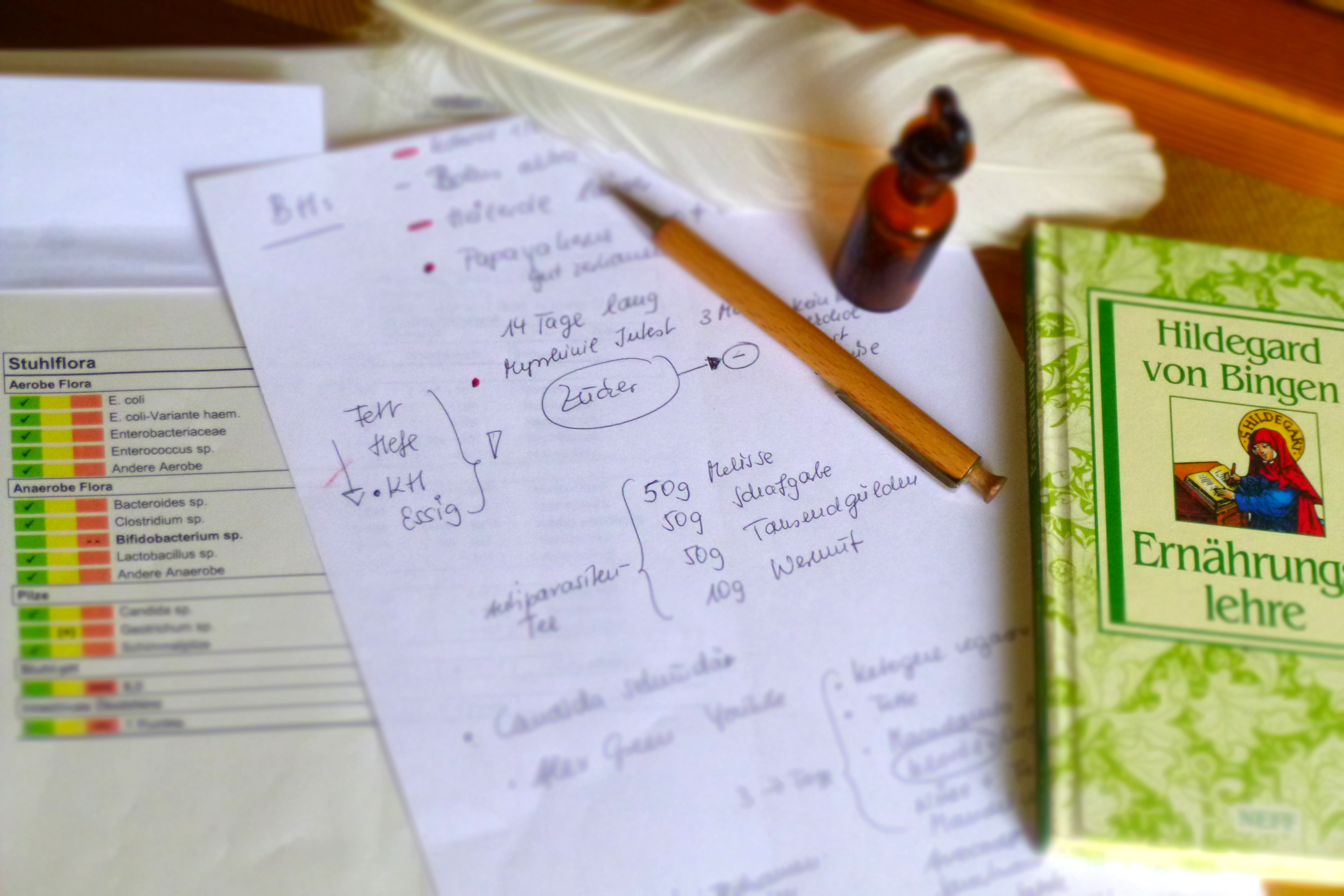 Claudia Brenner Heilmanufaktur Berlin - Wilmersdorf Ayurveda Darmgesundheit Ern&auml;hrung Yogatherapie Yoga &Uuml;ber Mich